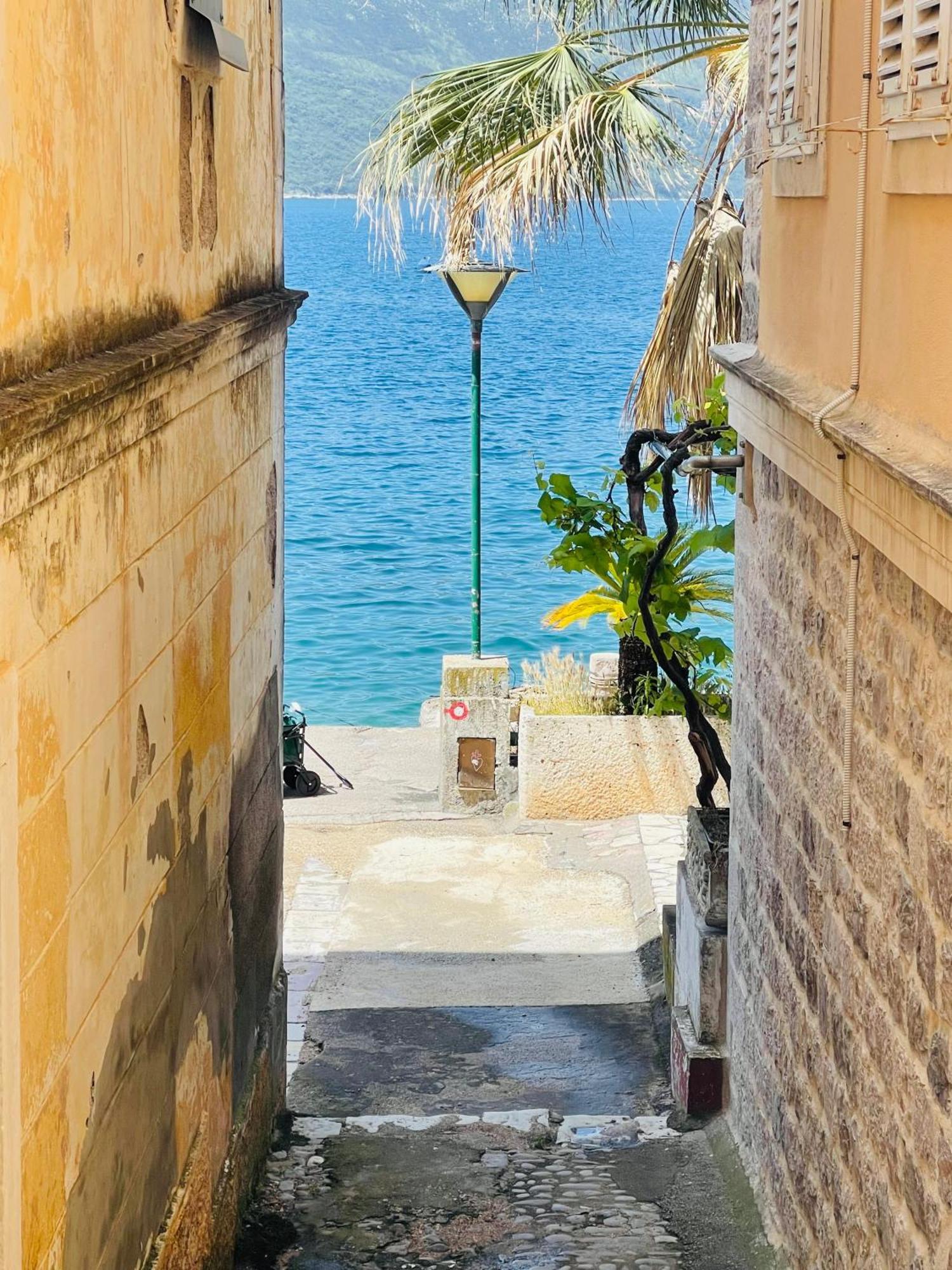 Hearth Of Rose Apartment Herceg Novi Luaran gambar
