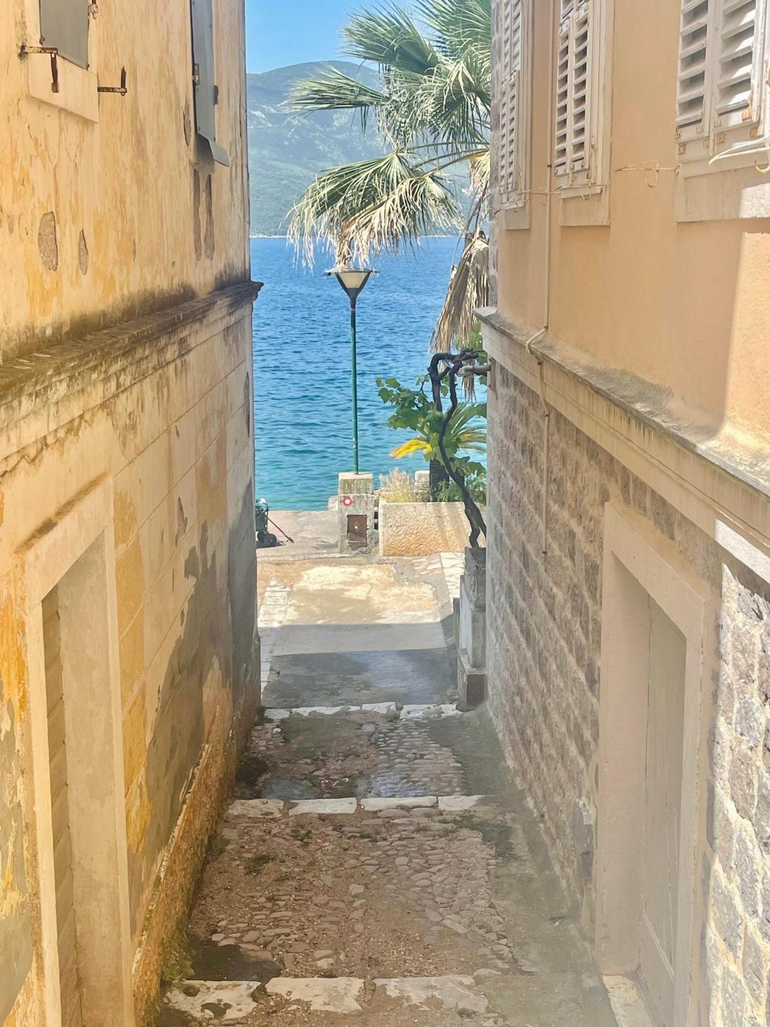 Hearth Of Rose Apartment Herceg Novi Luaran gambar
